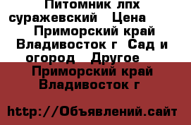 Питомник лпх суражевский › Цена ­ 400 - Приморский край, Владивосток г. Сад и огород » Другое   . Приморский край,Владивосток г.